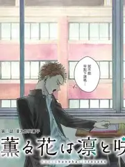 旧物改造家 生活改造综艺在线看